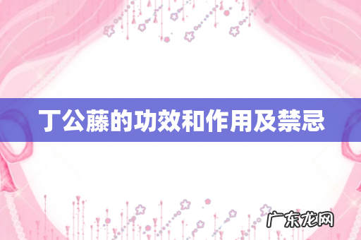 丁公藤的功效和作用及禁忌