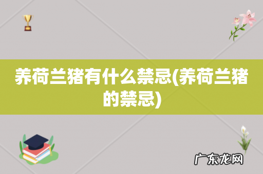 养荷兰猪的禁忌 养荷兰猪有什么禁忌