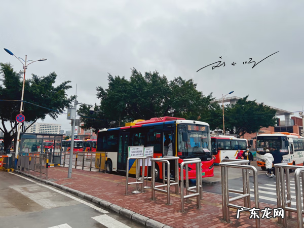 广州嘉禾望岗楼盘 广州嘉禾望岗哪里最热闹