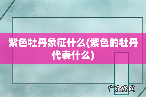 紫色的牡丹代表什么 紫色牡丹象征什么