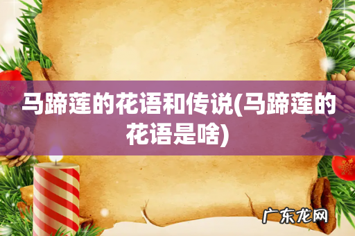 马蹄莲的花语是啥 马蹄莲的花语和传说