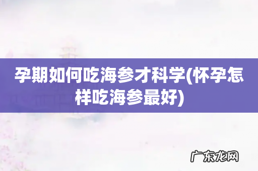 怀孕怎样吃海参最好 孕期如何吃海参才科学