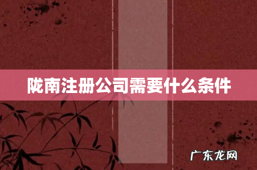 陇南注册公司需要什么条件