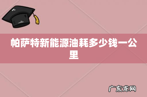 帕萨特新能源油耗多少钱一公里