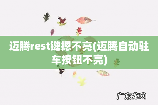 迈腾自动驻车按钮不亮 迈腾rest键摁不亮