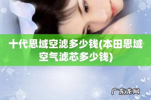本田思域空气滤芯多少钱 十代思域空滤多少钱