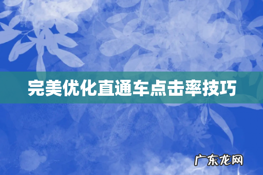 完美优化直通车点击率技巧