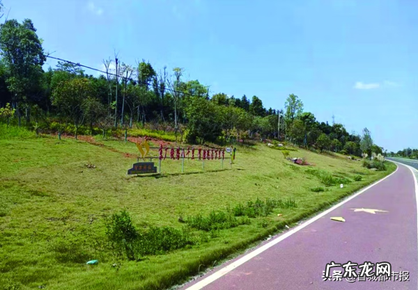 方溪水库移民安置小区 咸安区风水湾珍稀苗木基地