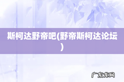野帝斯柯达论坛 斯柯达野帝吧