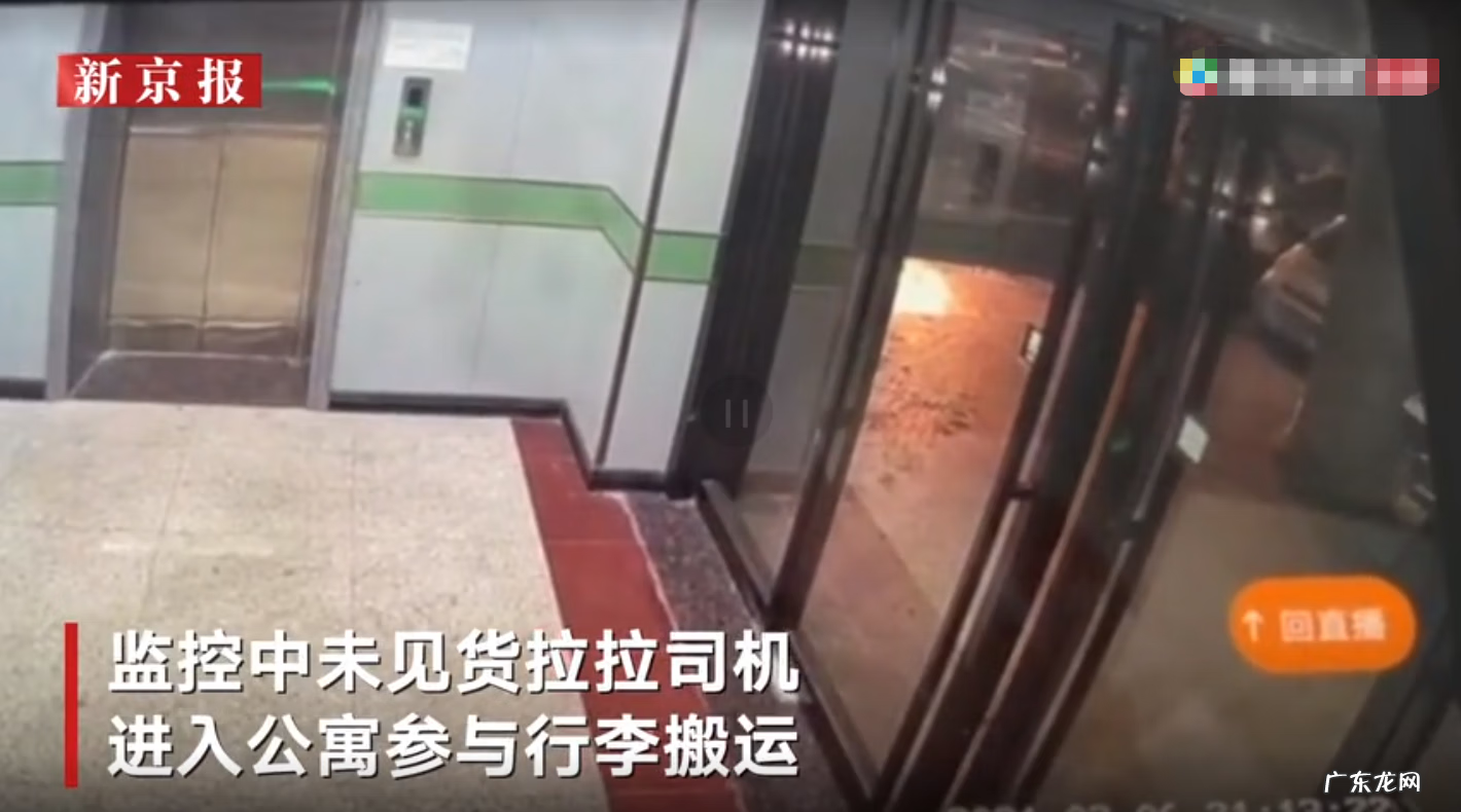 宠物王国单机内购版破解版 宠物女孩2破解版最新