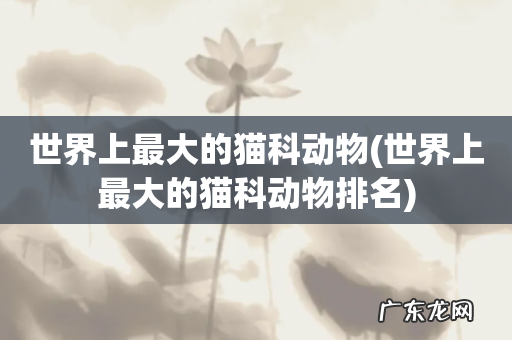 世界上最大的猫科动物排名 世界上最大的猫科动物