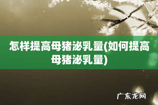 如何提高母猪泌乳量 怎样提高母猪泌乳量
