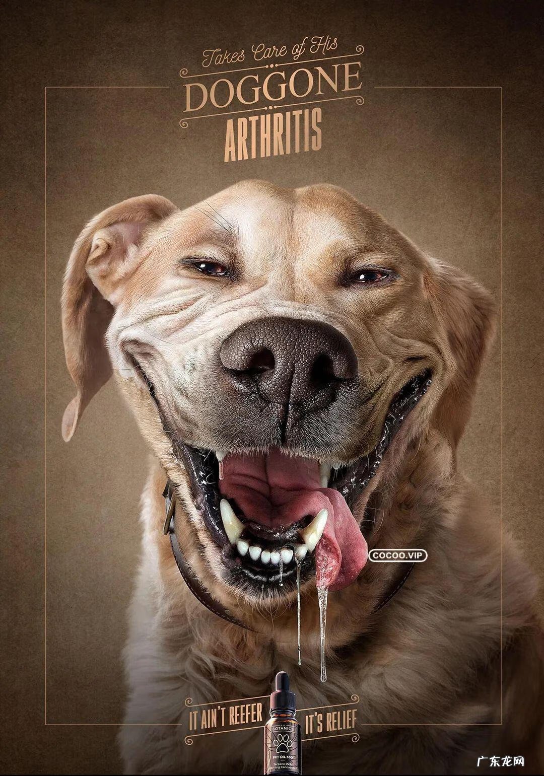 平面广告设计创意说明 平面广告设计说明怎么写