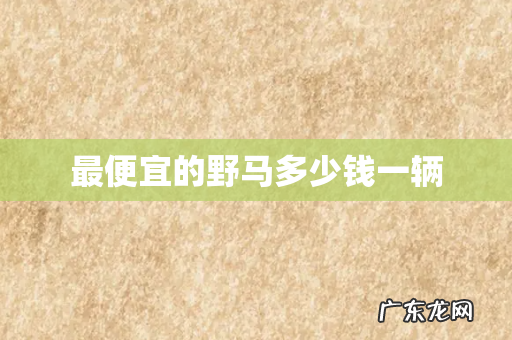 最便宜的野马多少钱一辆