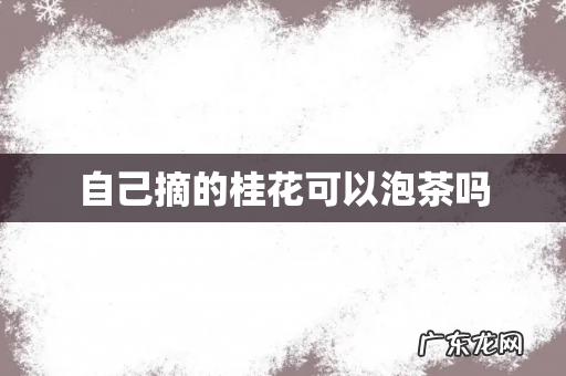 自己摘的桂花可以泡茶吗