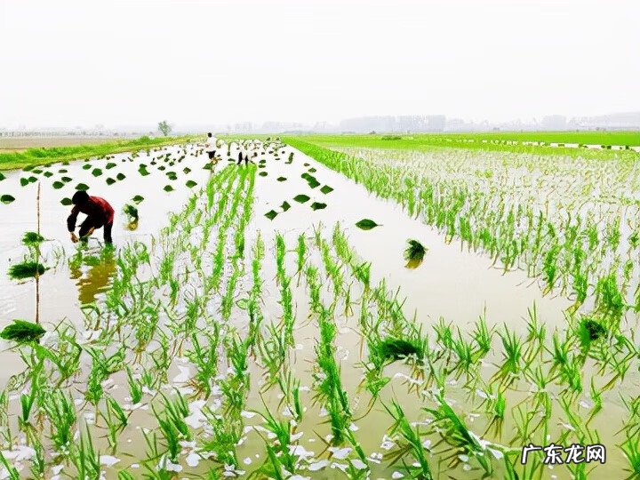 平地风水的看法 边关土地风水