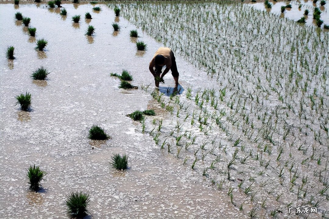 平地风水的看法 边关土地风水