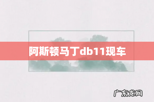 阿斯顿马丁db11现车