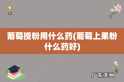 葡萄上果粉什么药好 葡萄授粉用什么药