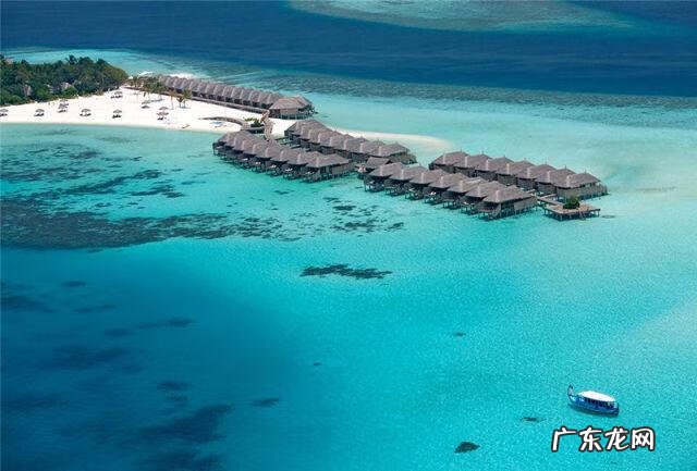 魔法岛 魔力岛在哪