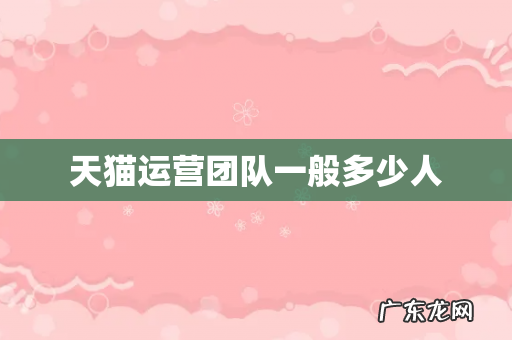 天猫运营团队一般多少人