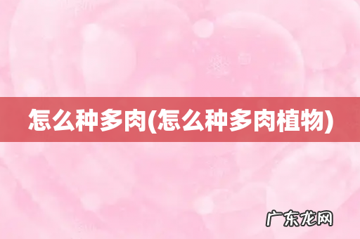 怎么种多肉植物 怎么种多肉