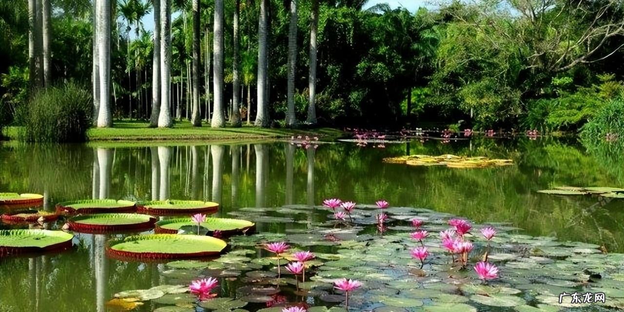 云南最热门的10个景区，丽江、大理、洱海上榜，你去过几个？