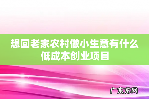 想回老家农村做小生意有什么低成本创业项目