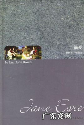 简爱小说读后感 读简爱有感600字