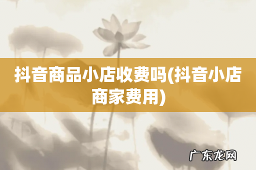 抖音小店商家费用 抖音商品小店收费吗