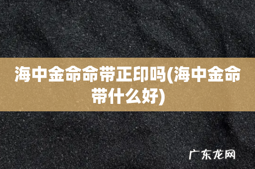 海中金命带什么好 海中金命命带正印吗