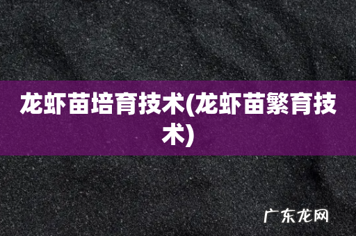 龙虾苗繁育技术 龙虾苗培育技术