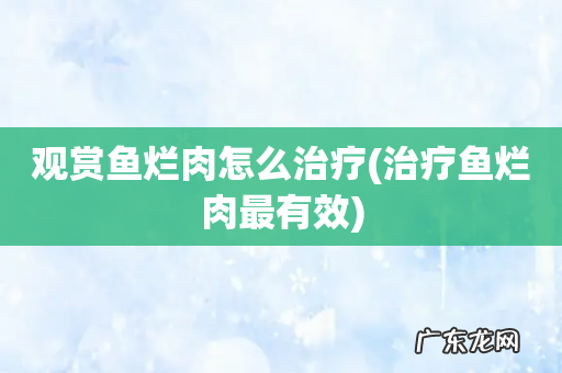 治疗鱼烂肉最有效 观赏鱼烂肉怎么治疗