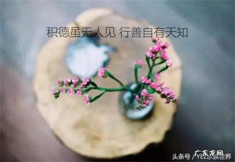 鱼缸风水讲究 鱼缸真的影响风水吗