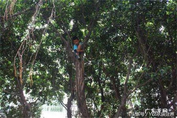 鱼缸风水讲究 鱼缸真的影响风水吗