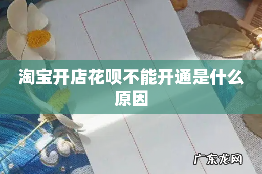 淘宝开店花呗不能开通是什么原因