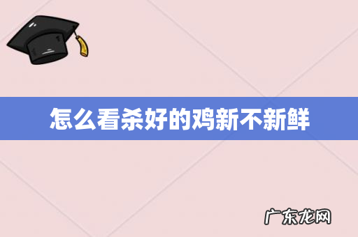 怎么看杀好的鸡新不新鲜
