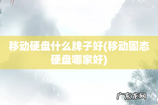 移动固态硬盘哪家好 移动硬盘什么牌子好