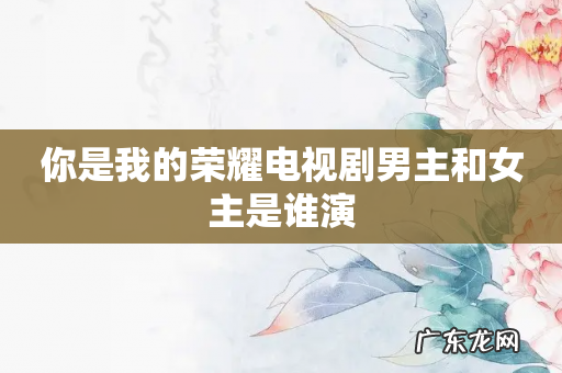 你是我的荣耀电视剧男主和女主是谁演