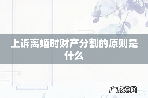 上诉离婚时财产分割的原则是什么