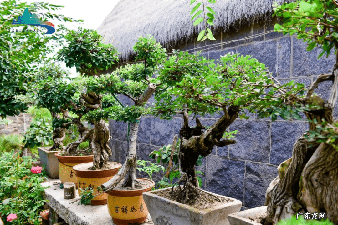 荣成哪个村子好玩 荣成的风水宝地在哪?