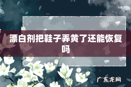 漂白剂把鞋子弄黄了还能恢复吗