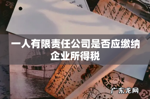 一人有限责任公司是否应缴纳企业所得税