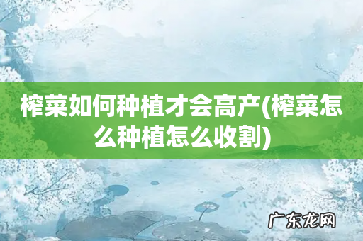 榨菜怎么种植怎么收割 榨菜如何种植才会高产