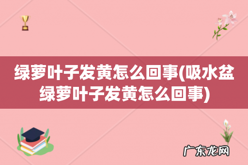 吸水盆绿萝叶子发黄怎么回事 绿萝叶子发黄怎么回事