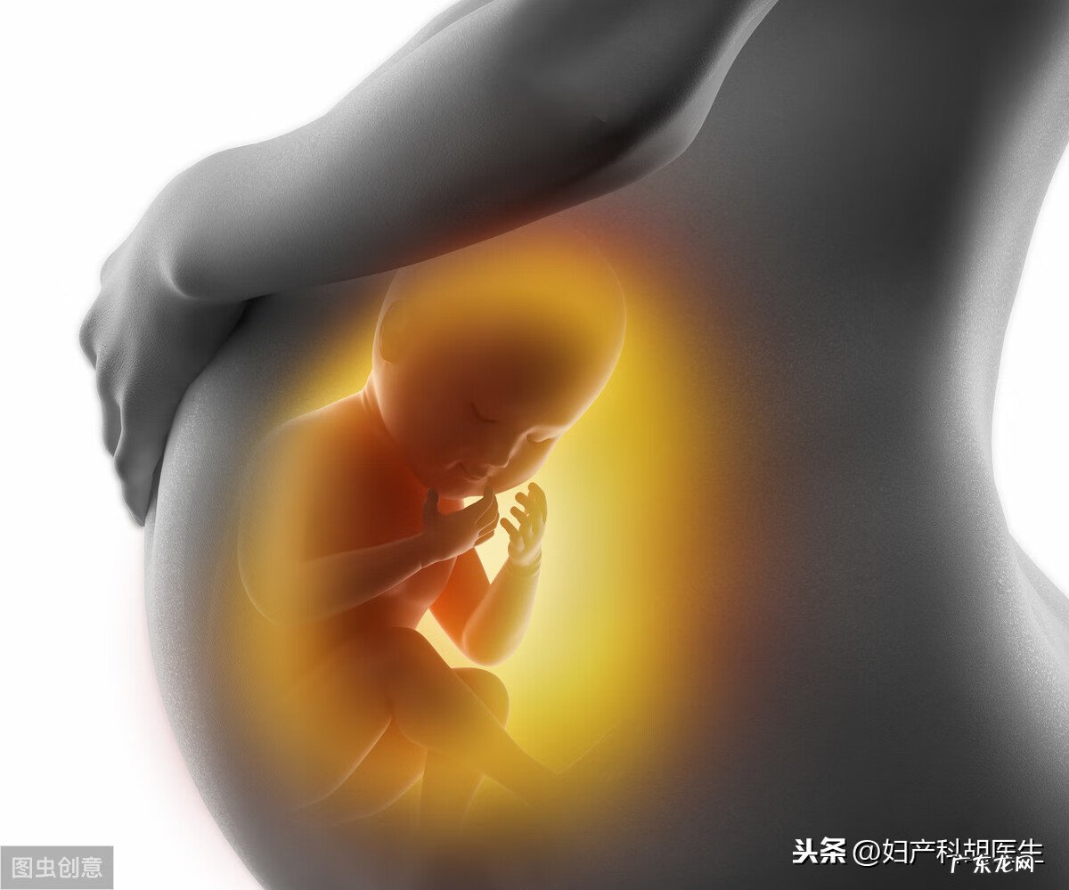 torch系列是什么意思 TORCH是什么意思