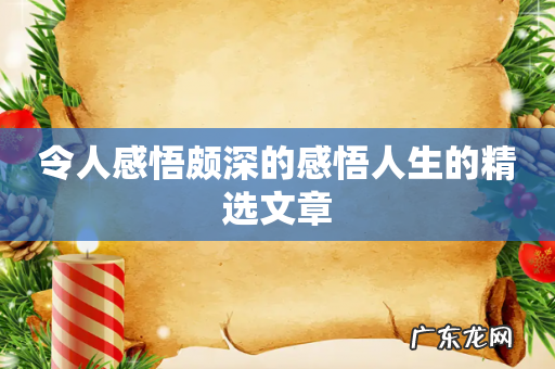 令人感悟颇深的感悟人生的精选文章