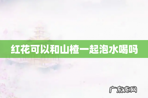 红花可以和山楂一起泡水喝吗