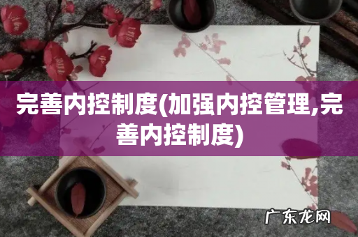 加强内控管理,完善内控制度 完善内控制度
