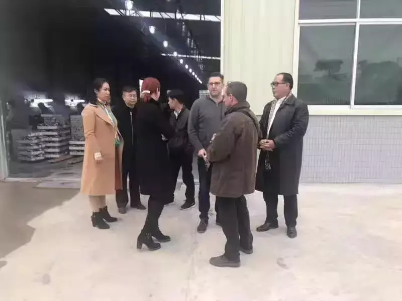 打磨抛光机 打磨抛光设备有哪些